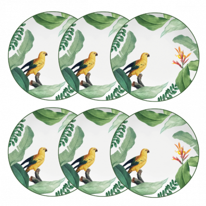 Kit de 06 pratos sobremesa Natureza